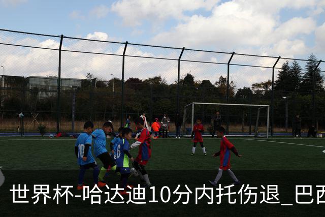 世界杯-哈达迪10分内托伤退 巴西大胜伊朗41分