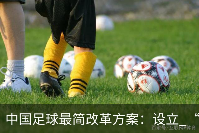 中国足球最简改革方案：设立 “中国杯”，省队争霸选出国足