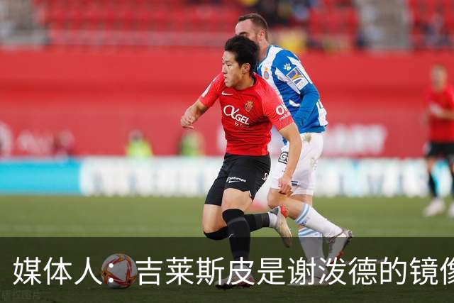 媒体人：吉莱斯皮是谢泼德的镜像版本 后者不进步均薪难超1500万