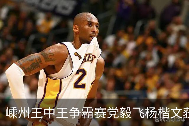嵊州王中王争霸赛党毅飞杨楷文获胜 00后全出局