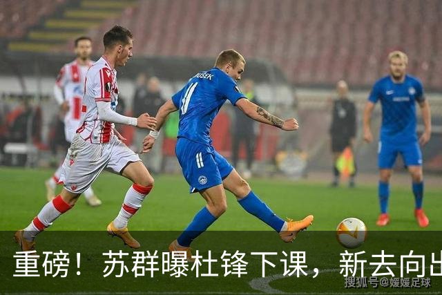 重磅！苏群曝杜锋下课，新去向出炉，球迷喊话杨鸣接手，能行吗？